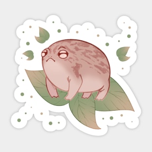 Desert Rain Frog V2 Sticker